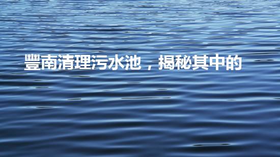 豐南清理污水池，揭秘其中的驚人發(fā)現(xiàn)！